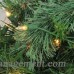 The Holiday Aisle Artificial Christmas Garland THLA3269